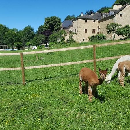 La Ferme Des Andes - Gite L'Atelier Apartment Quins Exterior foto