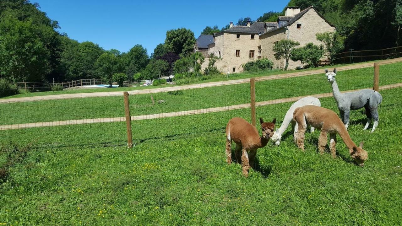 La Ferme Des Andes - Gite L'Atelier Apartment Quins Exterior foto