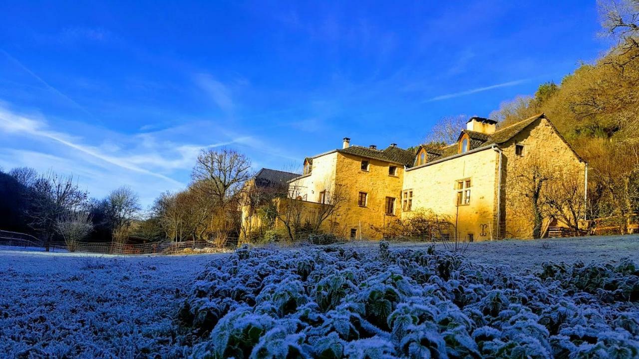 La Ferme Des Andes - Gite L'Atelier Apartment Quins Exterior foto