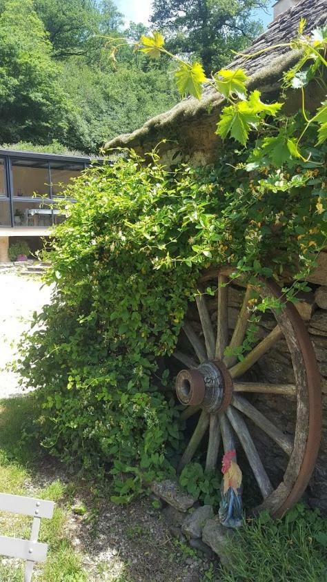 La Ferme Des Andes - Gite L'Atelier Apartment Quins Exterior foto