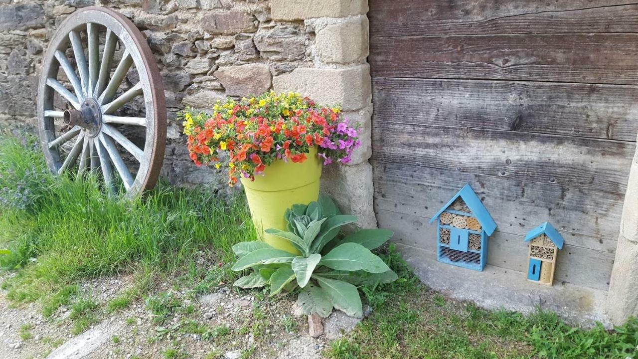 La Ferme Des Andes - Gite L'Atelier Apartment Quins Exterior foto